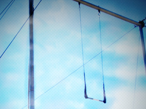 Trapeze Swing