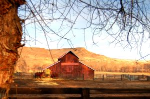 Barn