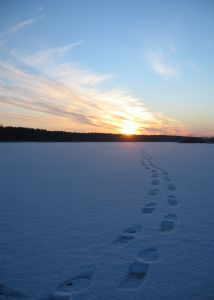 Snow-covered Sun rise