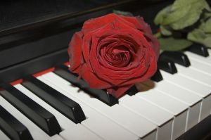 Red Rose on Piano